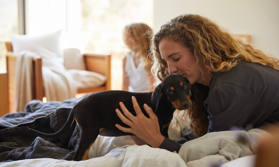 35 Eco-Friendly Products: Necessities for a Sustainable Household