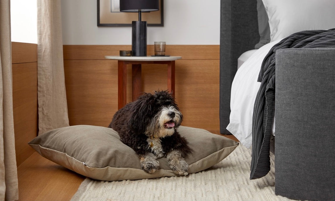 Best Dog Bed Materials for Comfort, Durability and Style