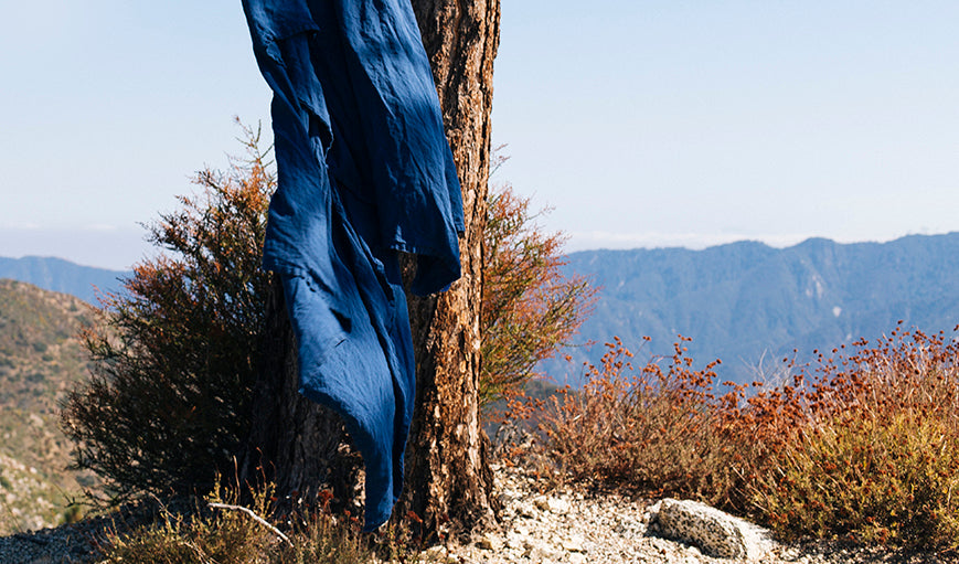 Indigo in the Wild