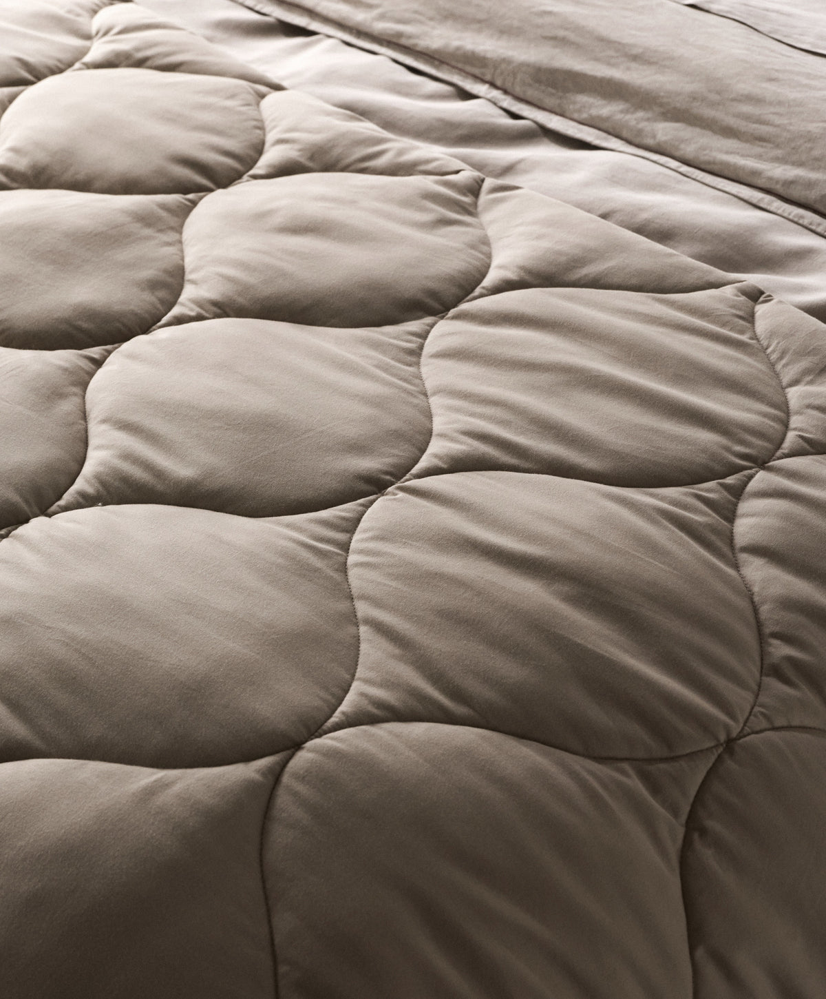 Parachute Home, brand website product image