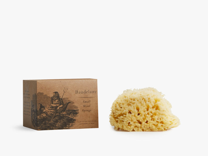 Natural Sea Sponge